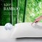 Cooling Queen Pillow Cases Set of 2 Breathable Cool Silky Soft Rayon Derived from Bamboo Fabric, Moisture Wicking for Hot Sleepers,Hair and Skin Friendly,White,2 Pack,20x30IN